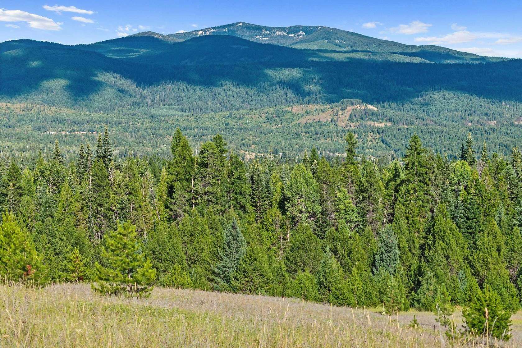 16.1 Acres of Land for Sale in Ione, Washington