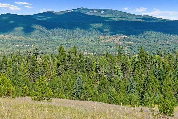 16.1 Acres of Land for Sale in Ione, Washington