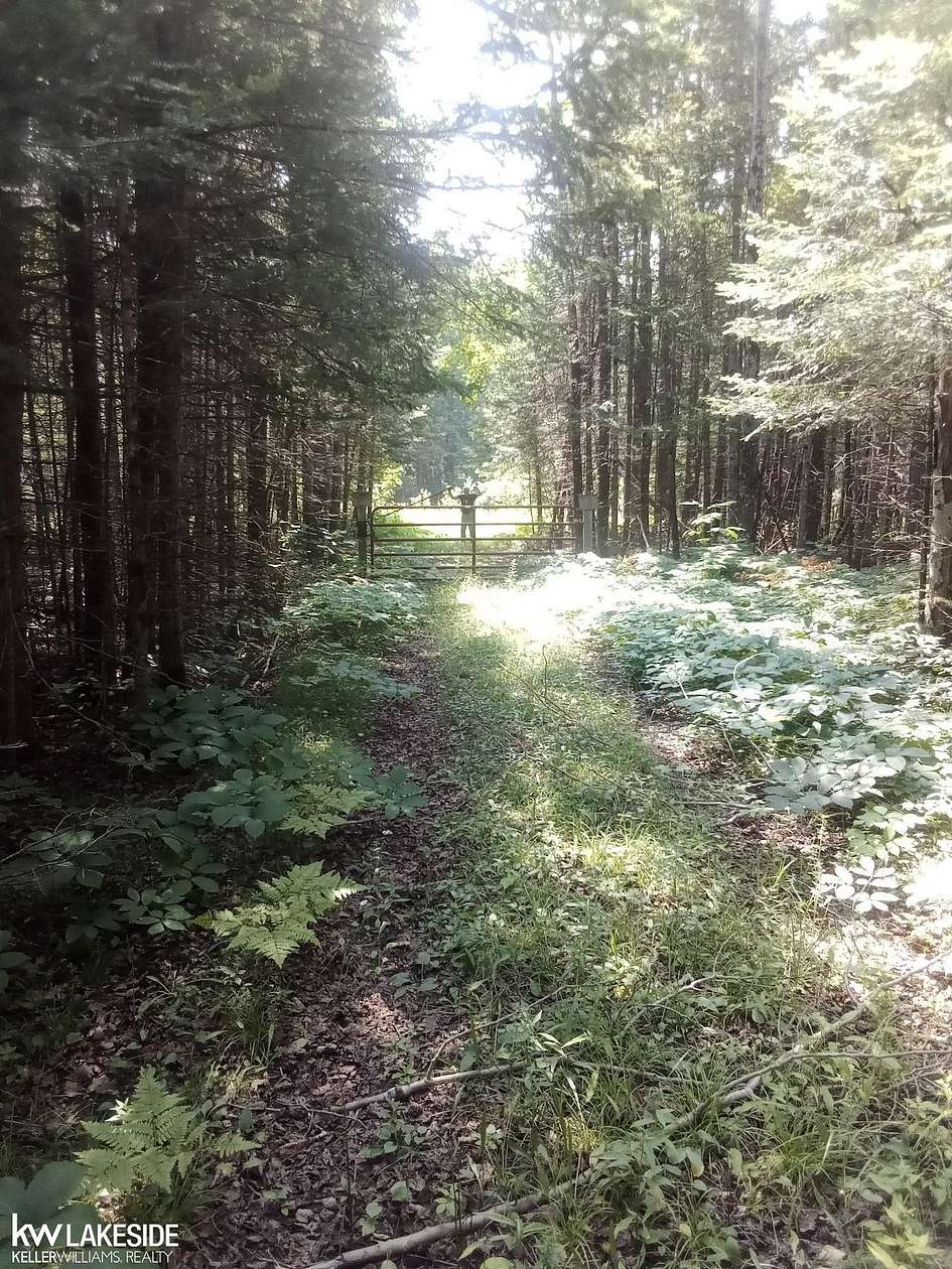 40 Acres of Recreational Land for Sale in Gould City, Michigan