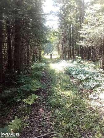 40 Acres of Recreational Land for Sale in Gould City, Michigan