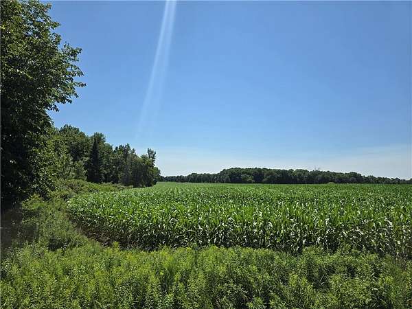 40 Acres of Recreational Land for Sale in Chetek, Wisconsin