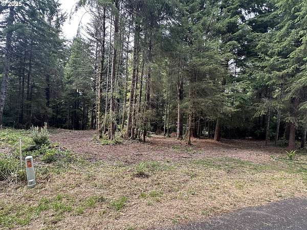 1 Acre of Residential Land for Sale in Florence, Oregon