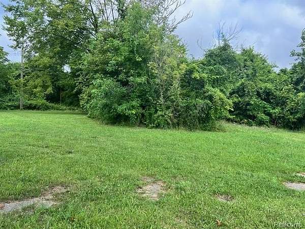 0.07 Acres of Residential Land for Sale in Detroit, Michigan