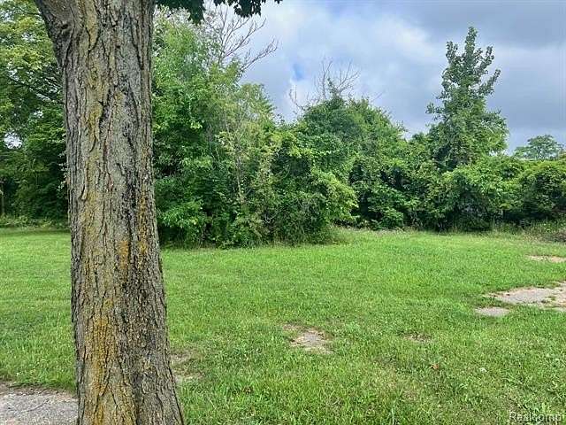 0.07 Acres of Residential Land for Sale in Detroit, Michigan