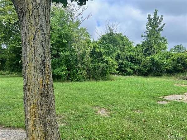 0.07 Acres of Residential Land for Sale in Detroit, Michigan