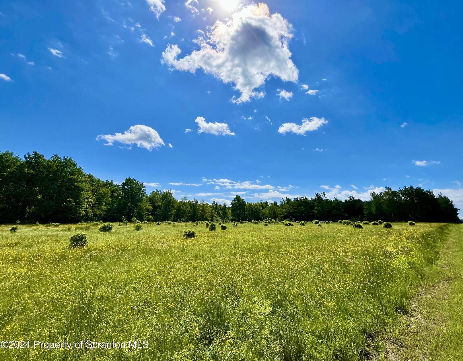 30.8 Acres of Land with Home for Sale in Union Dale, Pennsylvania