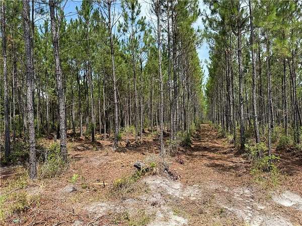 21.5 Acres of Agricultural Land for Sale in Manor, Georgia