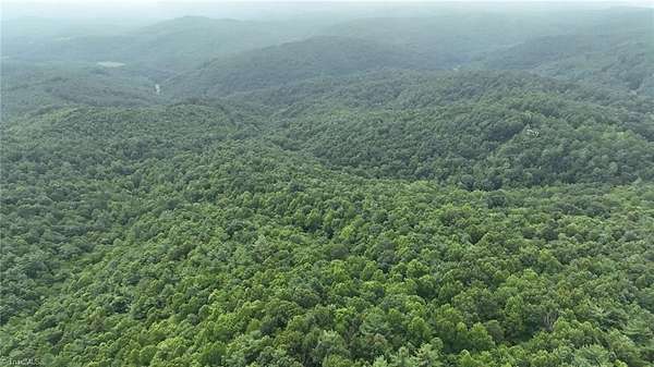 39.8 Acres of Land for Sale in Millers Creek, North Carolina
