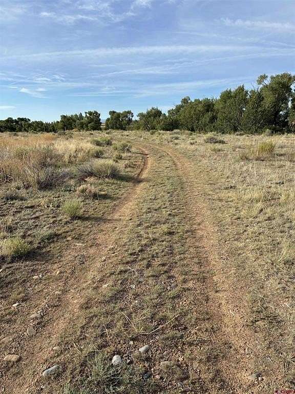 0.23 Acres of Residential Land for Sale in Capulin, Colorado