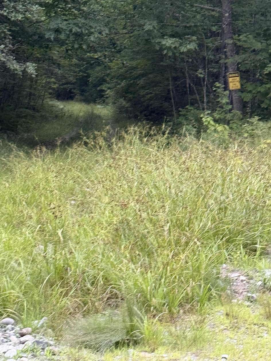 2 Acres of Land for Sale in Moscow, Maine