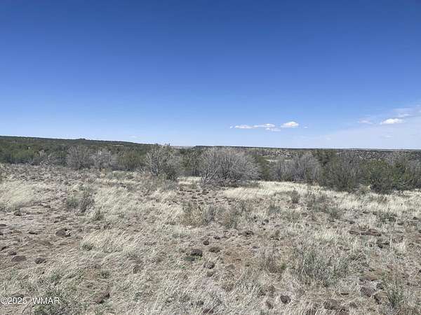 2.39 Acres of Residential Land for Sale in White Mountain Lake, Arizona