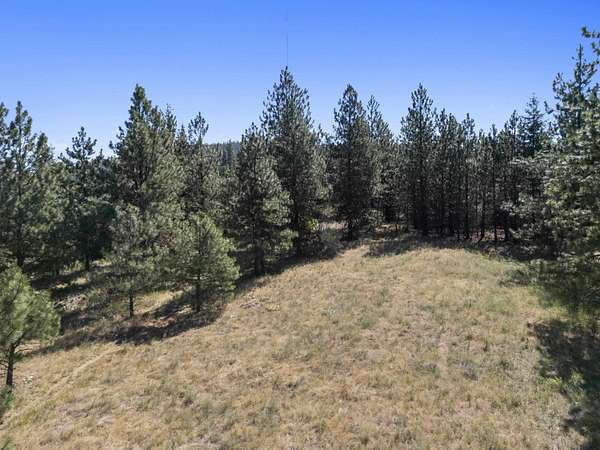 10 Acres of Recreational Land for Sale in Spokane, Washington