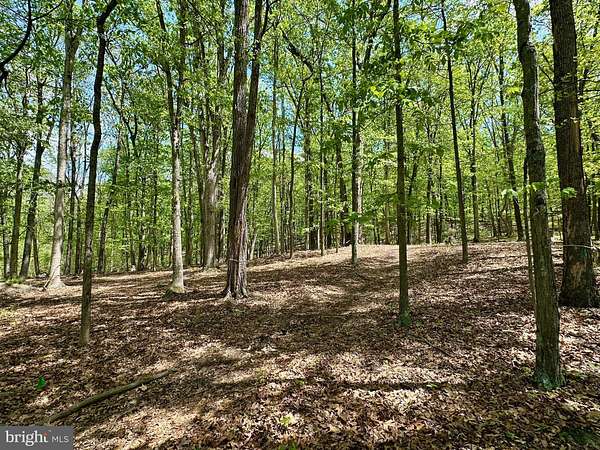 7.29 Acres of Residential Land with Home for Sale in Moorefield, West Virginia