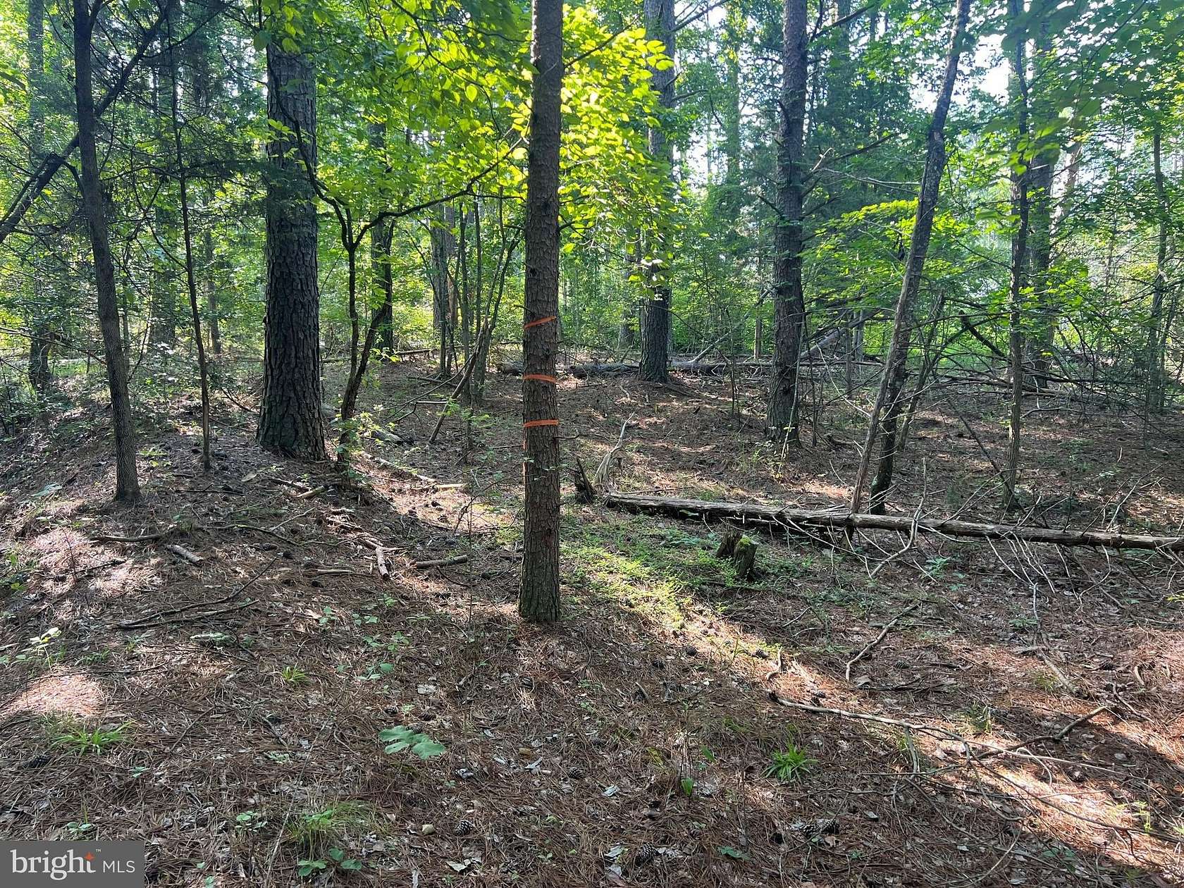 1.89 Acres of Land for Sale in Mineral, Virginia