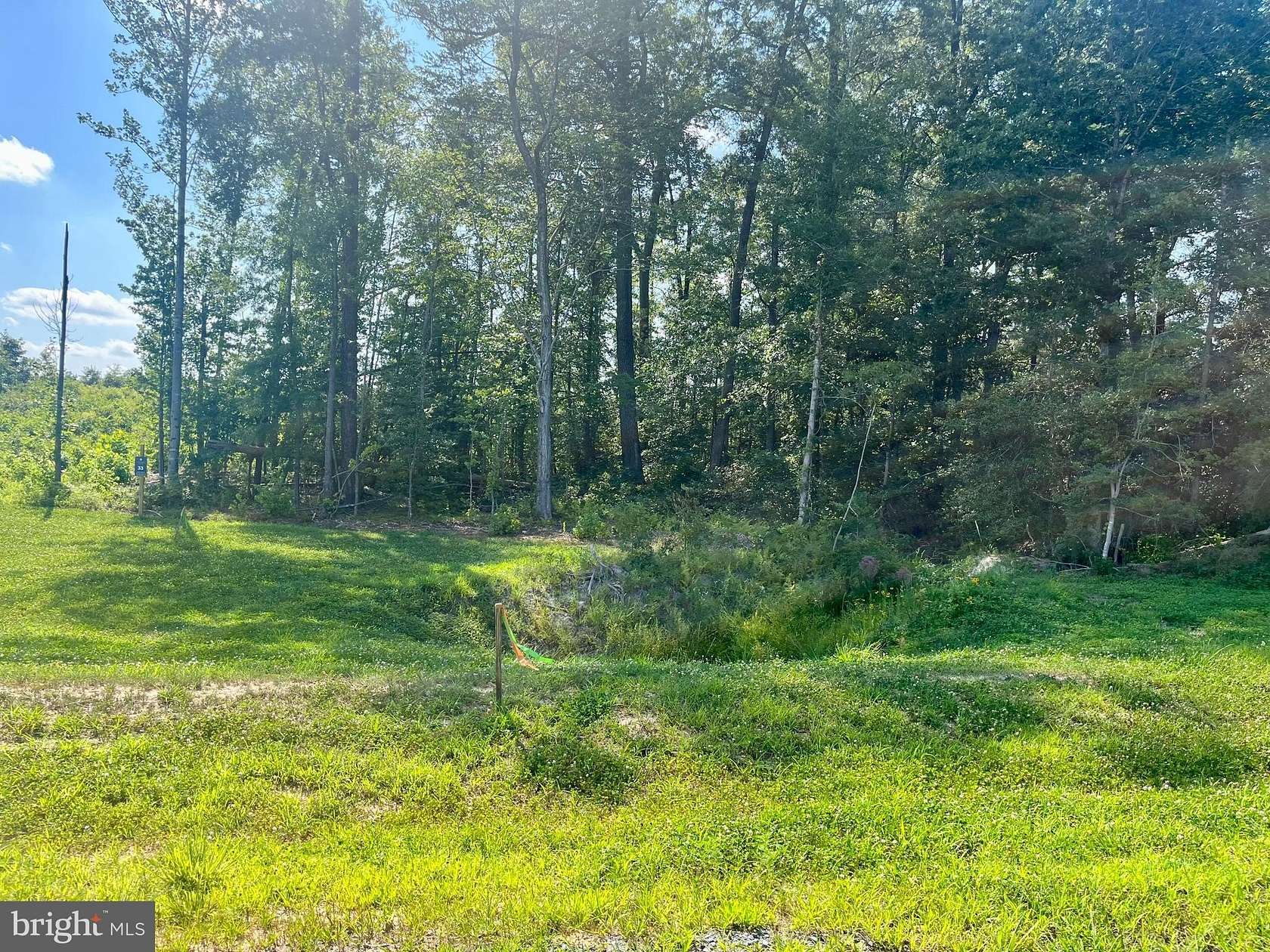 2 Acres of Residential Land for Sale in Mineral, Virginia
