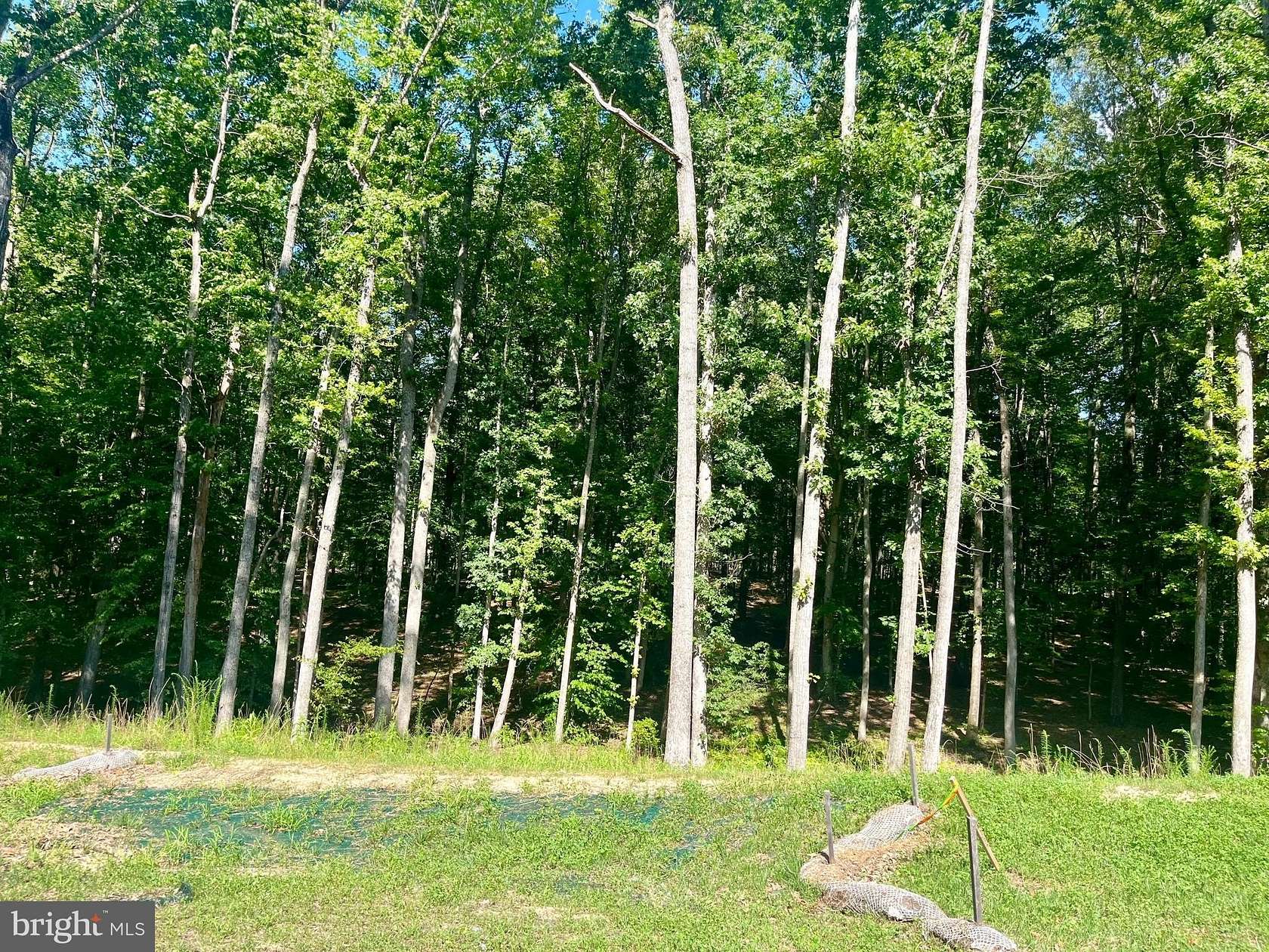 1.63 Acres of Residential Land for Sale in Mineral, Virginia