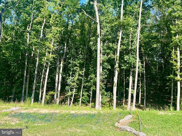 1.63 Acres of Residential Land for Sale in Mineral, Virginia