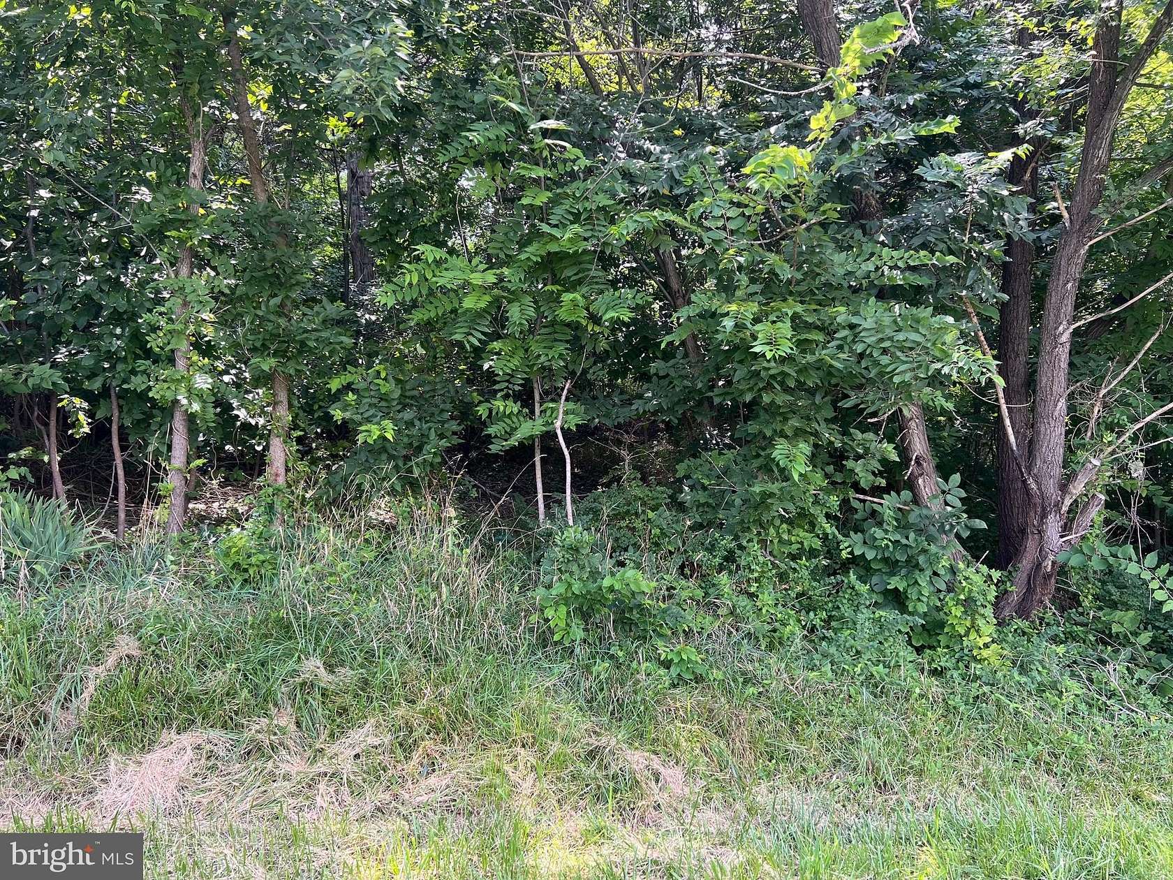 0.53 Acres of Land for Sale in Strasburg, Virginia