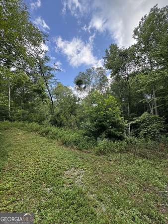 1 Acre of Residential Land for Sale in Rabun Gap, Georgia