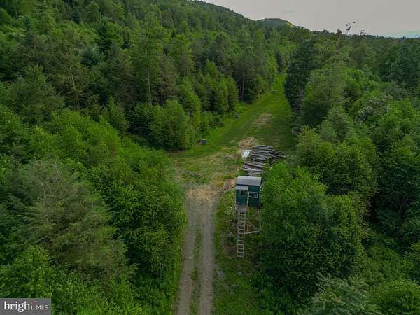75.6 Acres of Recreational Land for Auction in Loganton, Pennsylvania