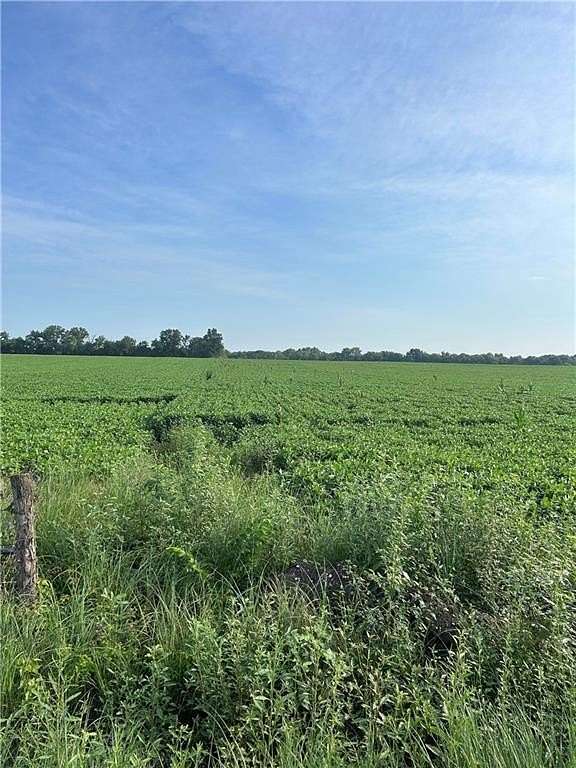 40 Acres of Agricultural Land for Sale in Ottawa, Kansas
