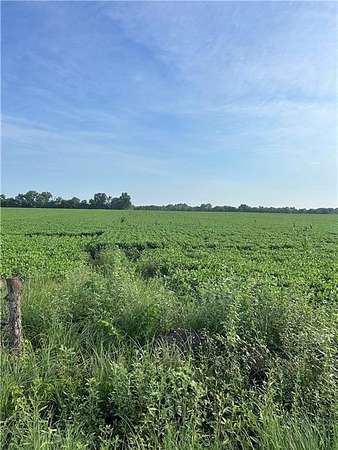 40 Acres of Agricultural Land for Sale in Ottawa, Kansas
