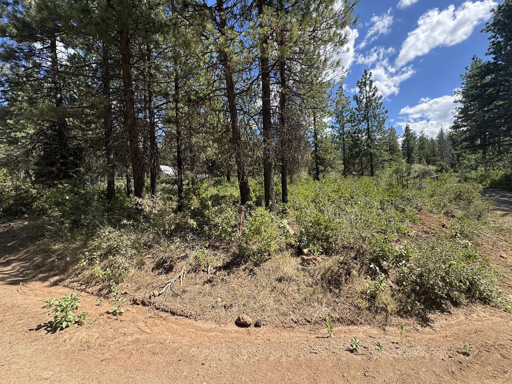 2.18 Acres of Residential Land for Sale in Bonanza, Oregon