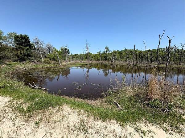 86.2 Acres of Recreational Land & Farm for Sale in Groesbeck, Texas