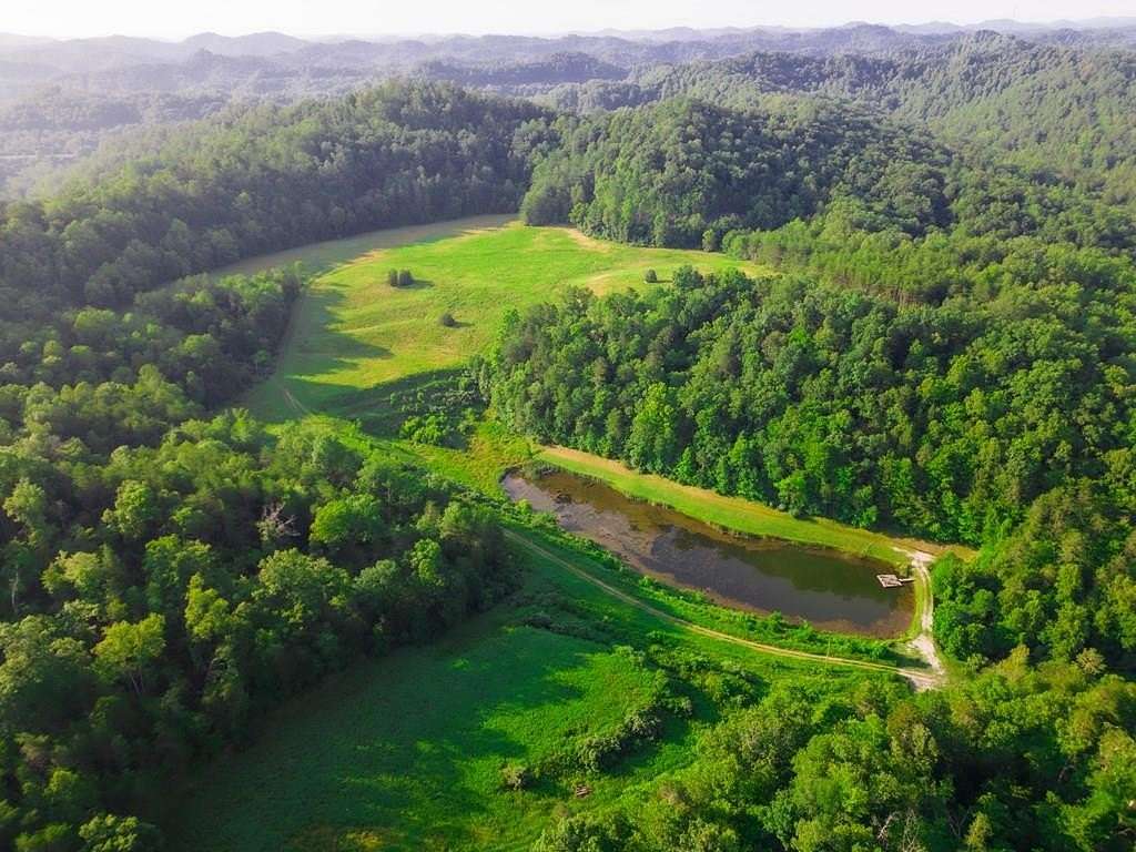 150 Acres of Land for Sale in Staffordsville, Kentucky