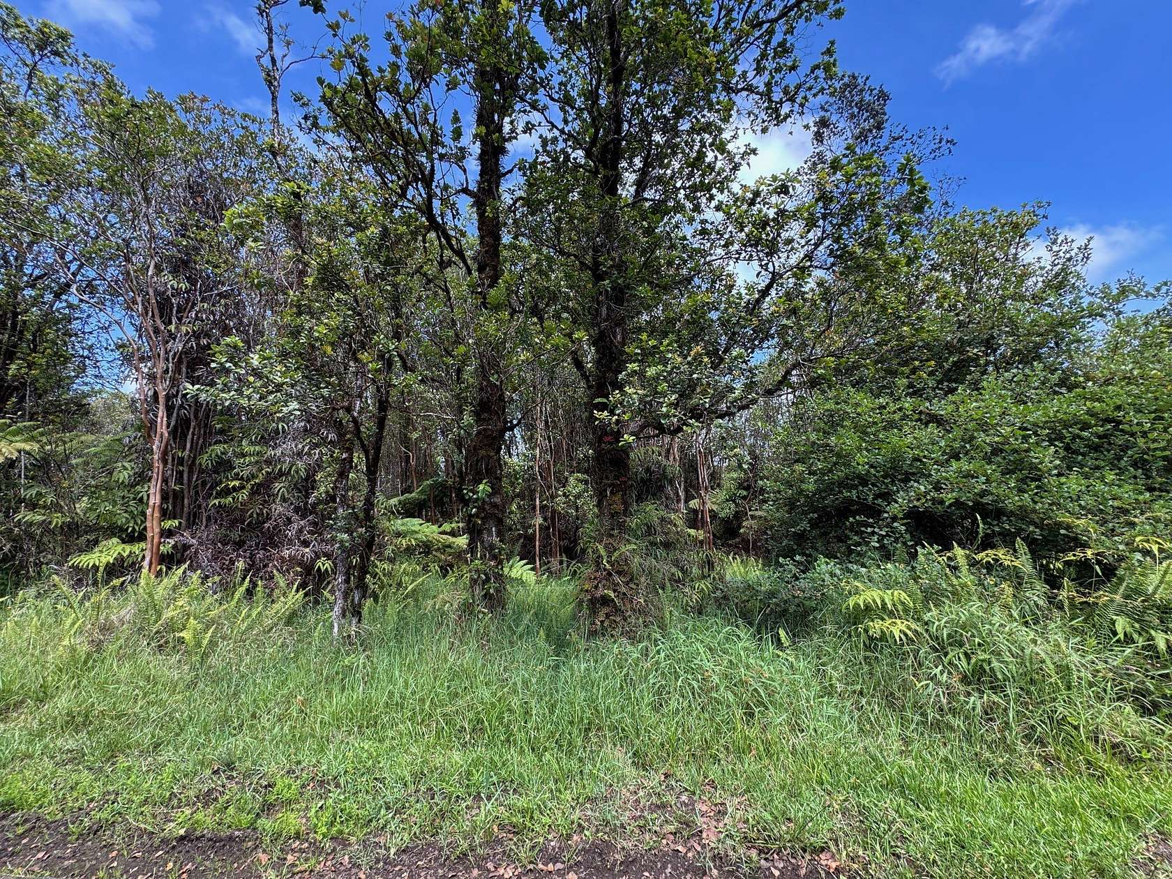 0.28 Acres of Land for Sale in Volcano, Hawaii