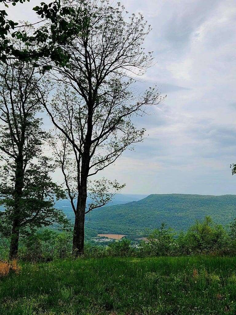1.48 Acres of Residential Land for Sale in Jasper, Tennessee