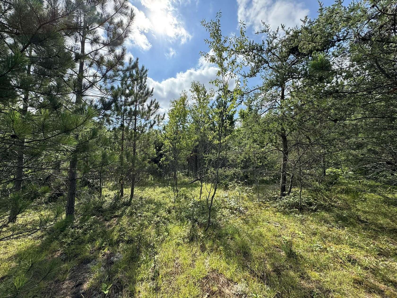 10 Acres of Land for Sale in Cheboygan, Michigan