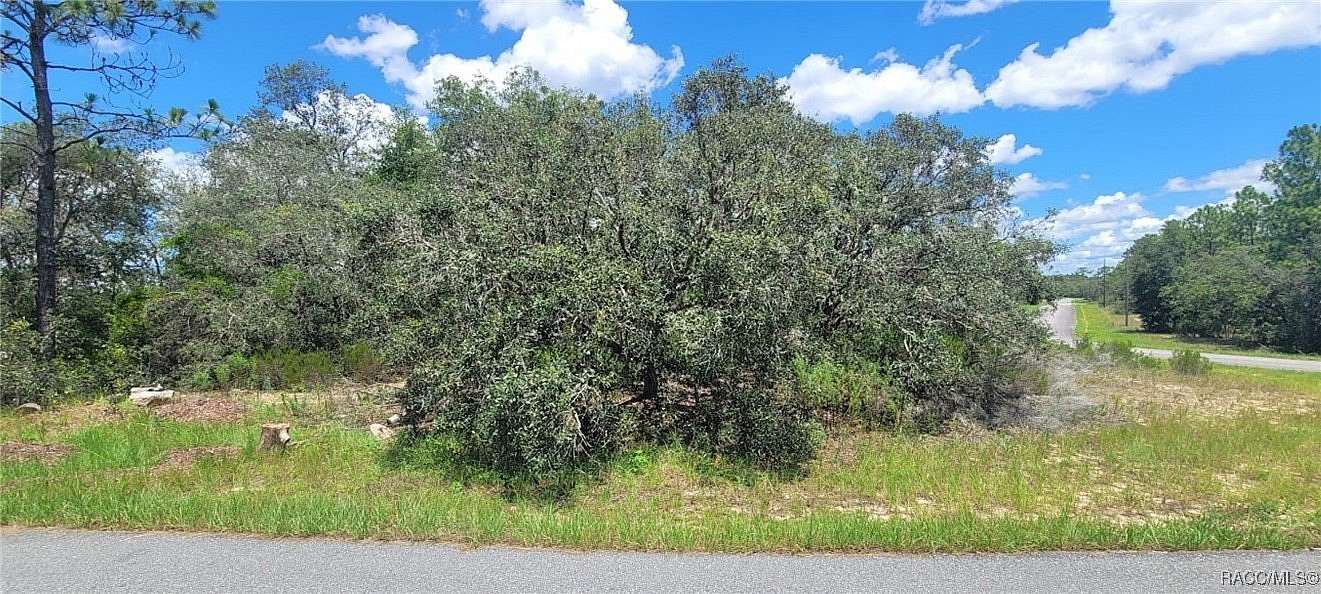 0.59 Acres of Residential Land for Sale in Citrus Springs, Florida