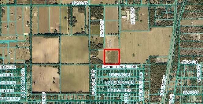 10 Acres of Agricultural Land for Sale in Dunnellon, Florida
