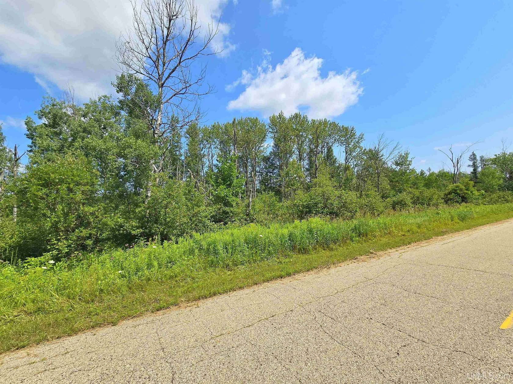 6 Acres of Residential Land for Sale in Hardwood, Michigan
