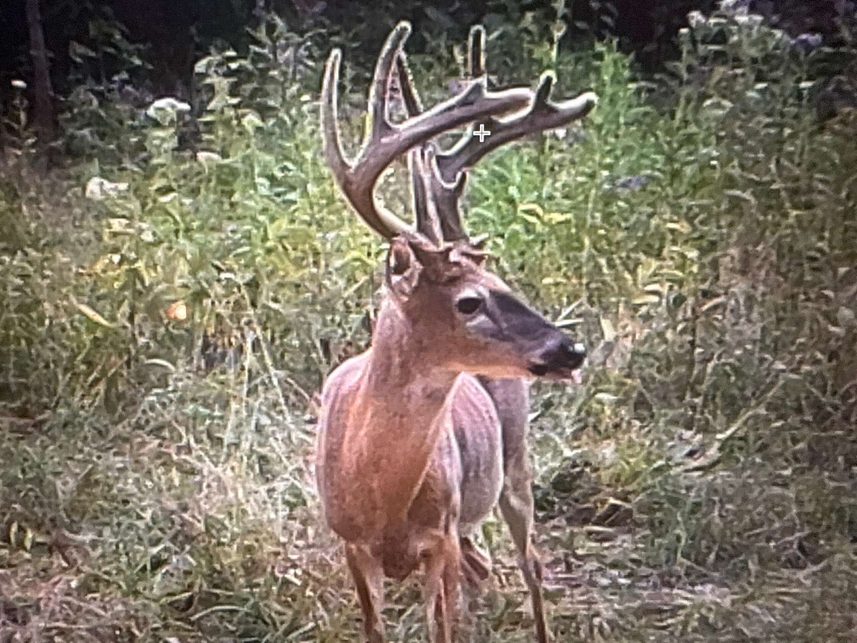 297 Acres of Improved Land for Sale in Monticello, Kentucky