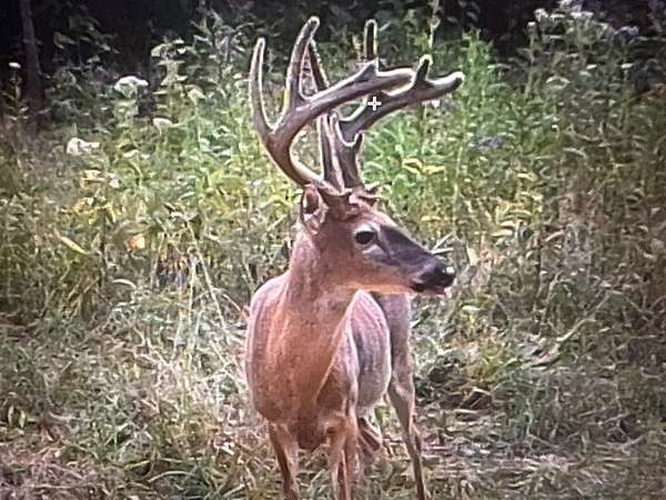 297 Acres of Improved Land for Sale in Monticello, Kentucky