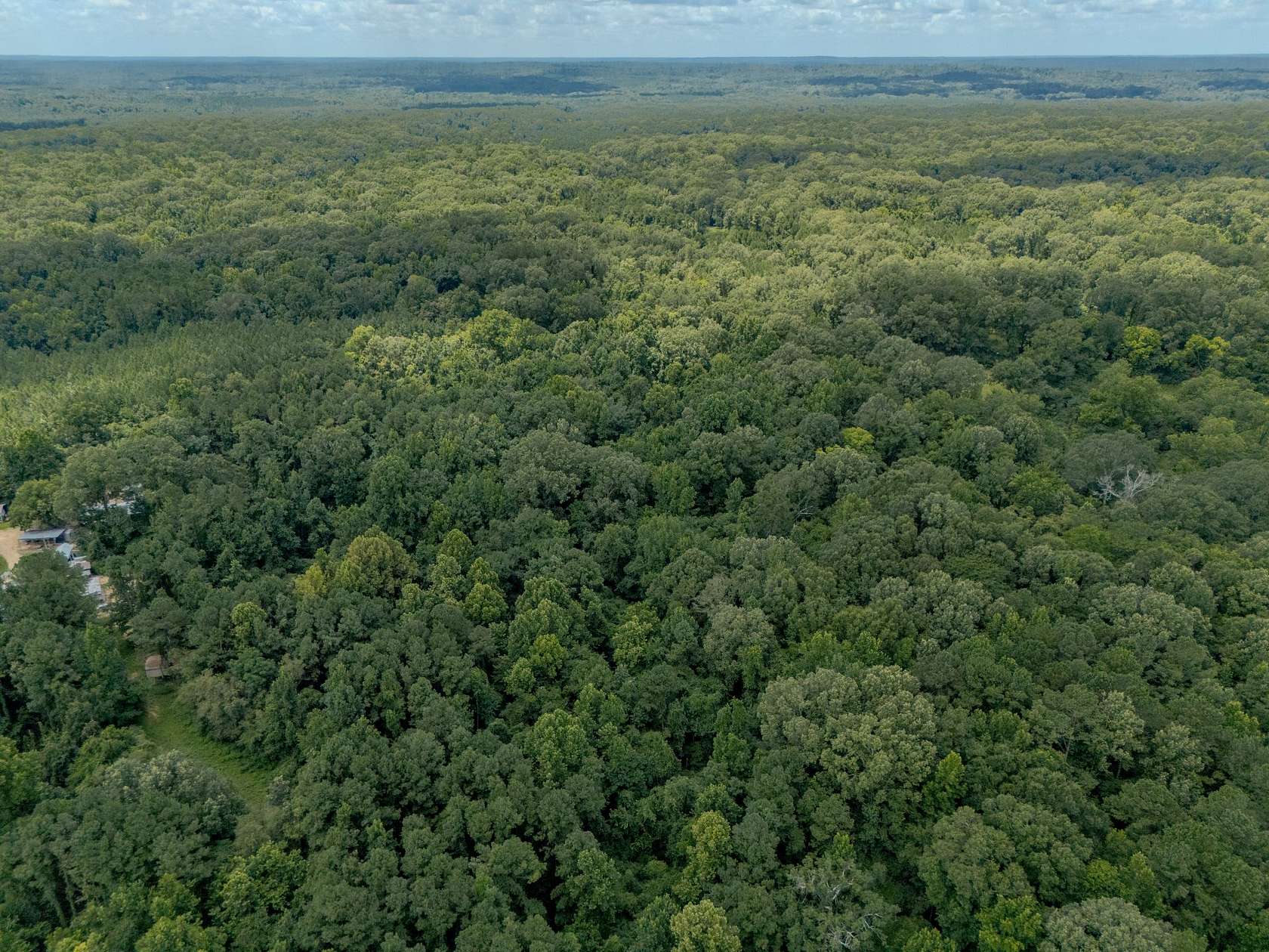 21 Acres of Recreational Land for Sale in Fayette, Mississippi