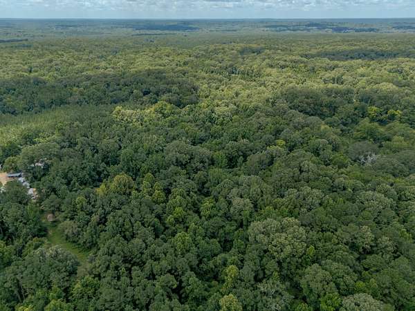 21 Acres of Recreational Land for Sale in Fayette, Mississippi