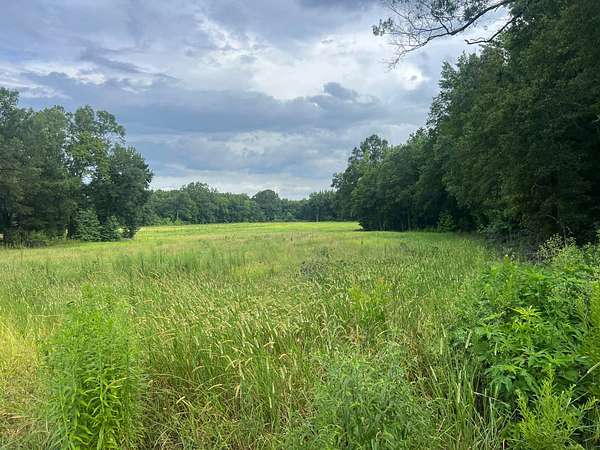 60 Acres of Recreational Land for Sale in Youngs, Mississippi