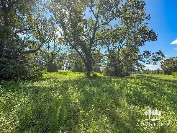 17 Acres of Land for Sale in Jack, Alabama