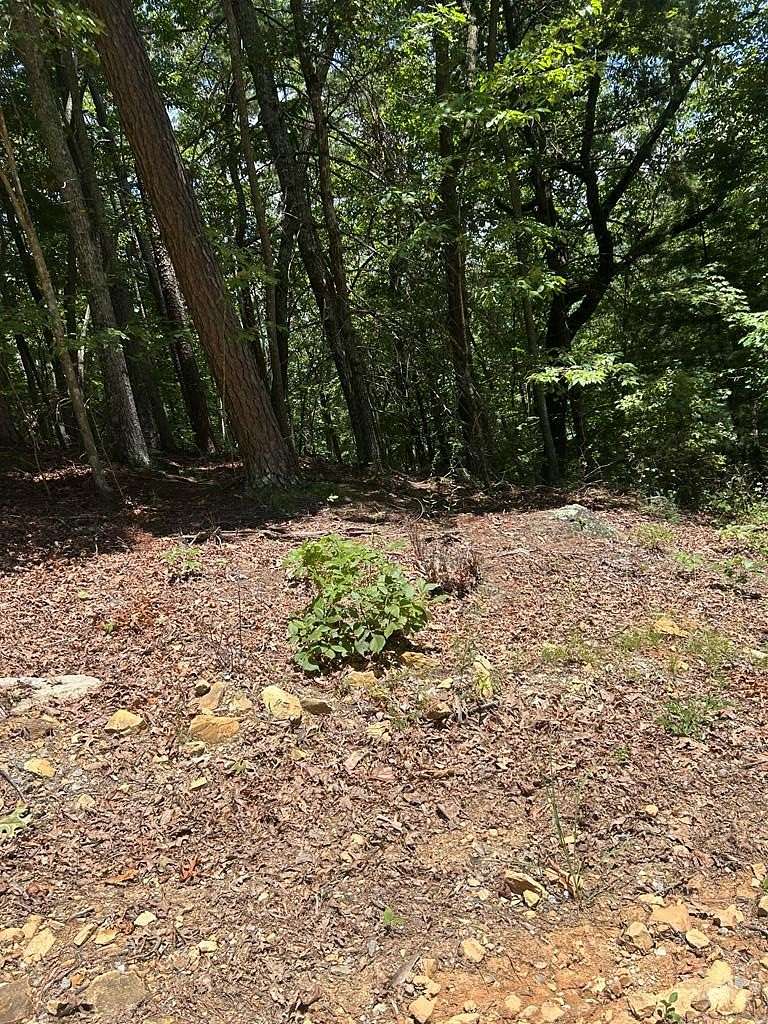 0.92 Acres of Land for Sale in Murphy, North Carolina