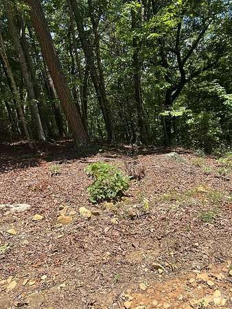 0.92 Acres of Land for Sale in Murphy, North Carolina