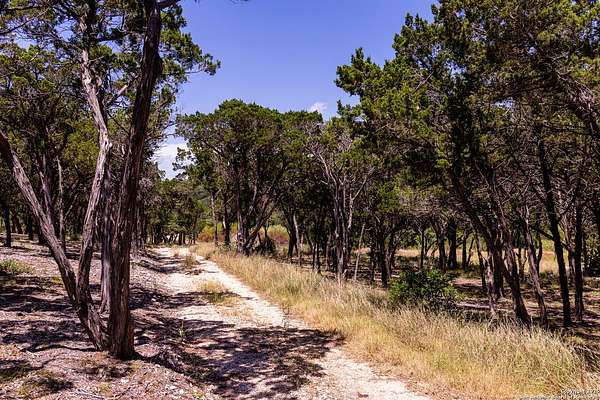 5 Acres of Residential Land for Sale in Helotes, Texas