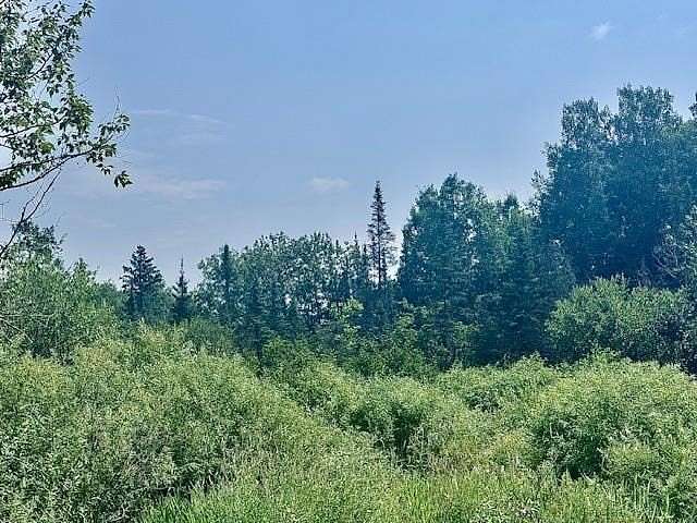 28.8 Acres of Recreational Land for Sale in Iron Junction, Minnesota