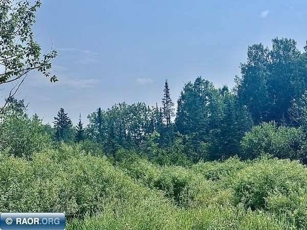 28.8 Acres of Recreational & Residential Land for Sale in Iron Junction, Minnesota