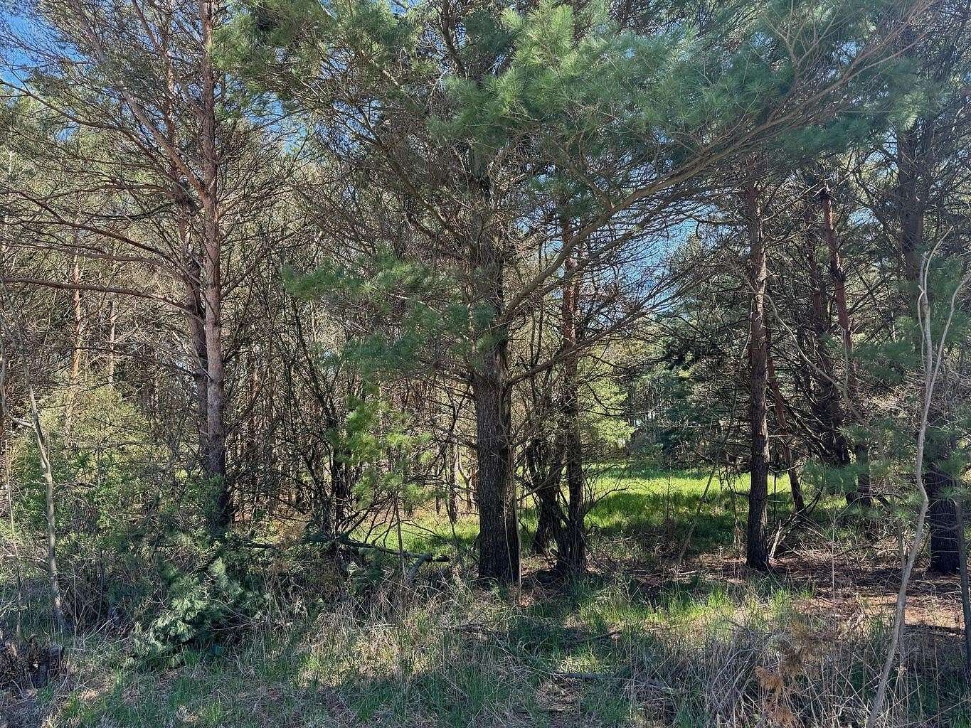 0.52 Acres of Land for Sale in Montague, Michigan