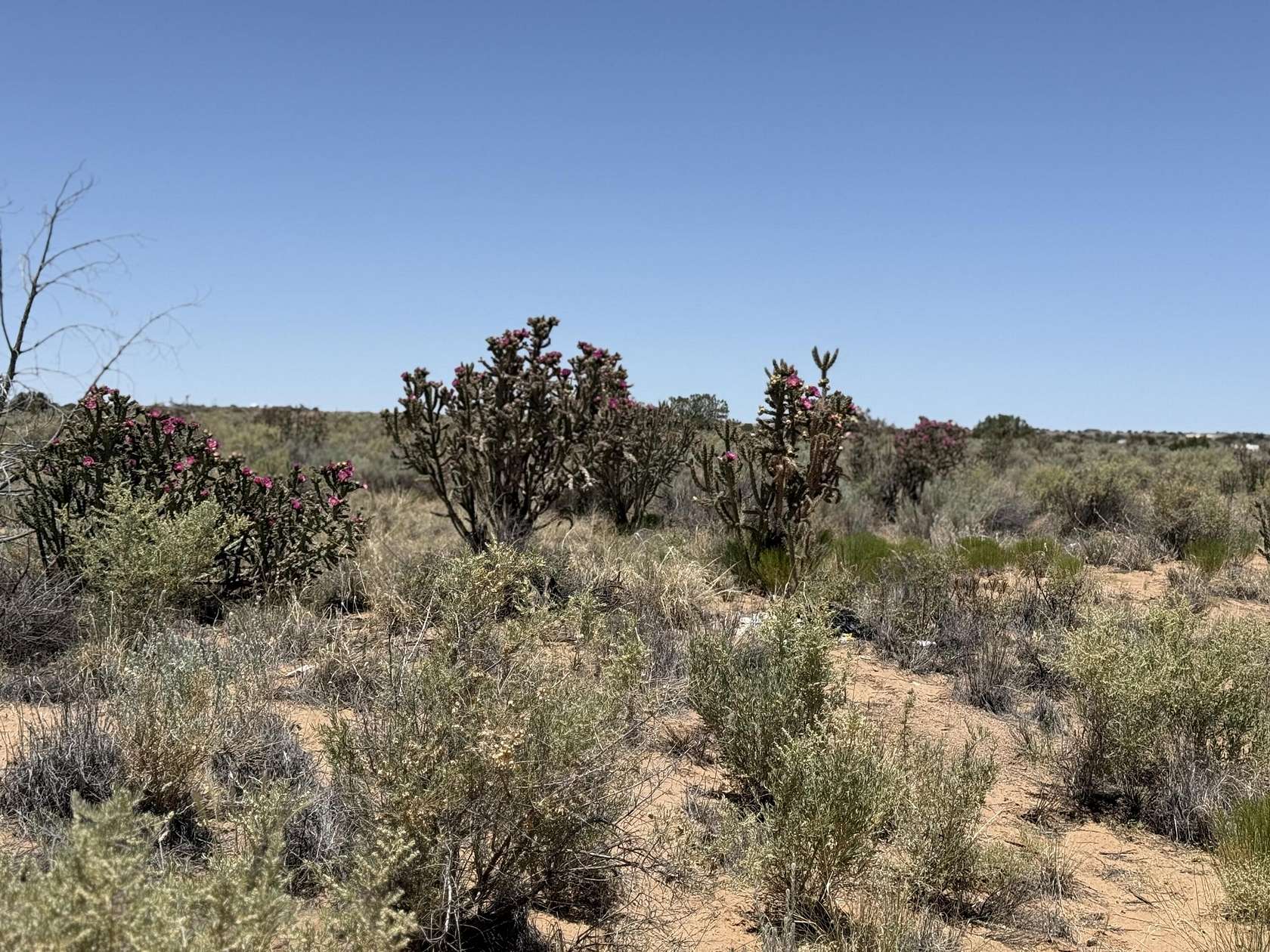 1 Acre of Residential Land for Sale in Rio Rancho, New Mexico