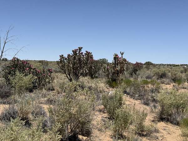 1 Acre of Residential Land for Sale in Rio Rancho, New Mexico