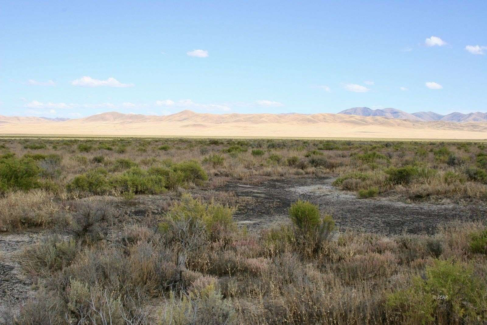 40 Acres of Recreational Land for Sale in Crescent Valley, Nevada